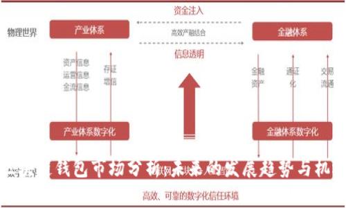 区块链钱包市场分析：未来的发展趋势与机遇