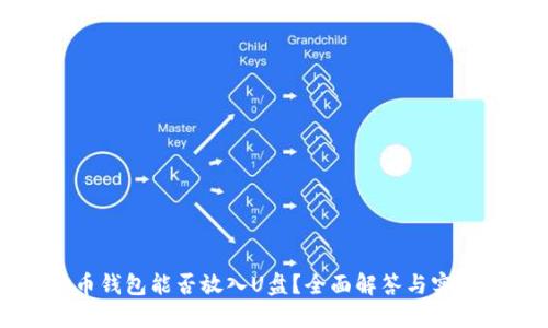 狗狗币钱包能否放入U盘？全面解答与实用指南