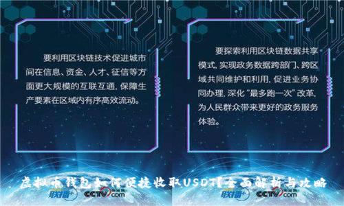 虚拟币钱包如何便捷收取USDT？全面解析与攻略