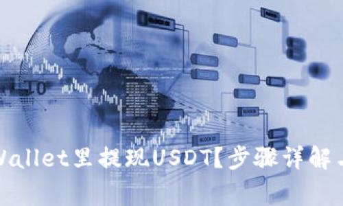 如何在tpWallet里提现USDT？步骤详解与注意事项