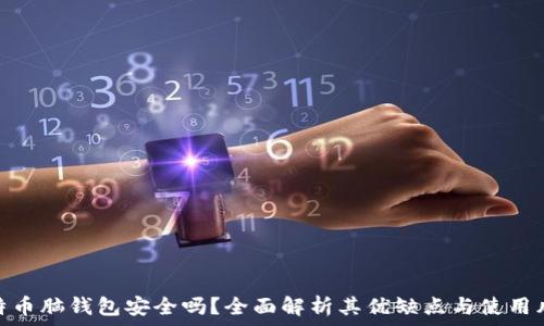   
比特币脑钱包安全吗？全面解析其优缺点与使用风险