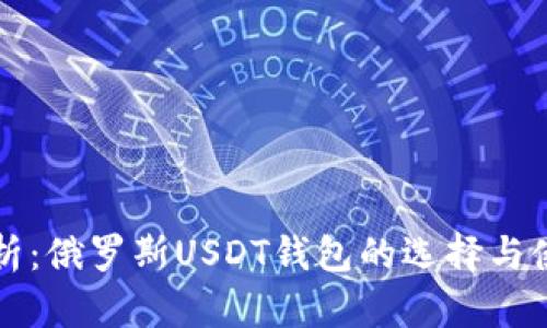 全面解析：俄罗斯USDT钱包的选择与使用指南