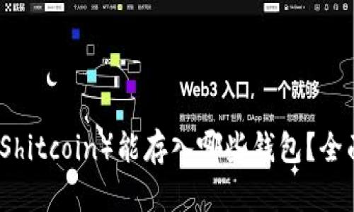 屎币（Shitcoin）能存入哪些钱包？全面指南