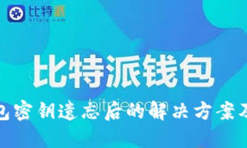 比特币钱包密钥遗忘后的解决方案及预防措施