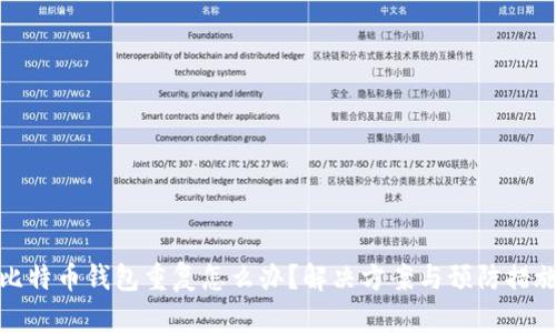 比特币钱包重复怎么办？解决方案与预防措施