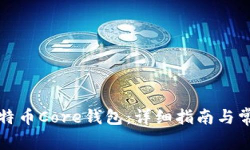 如何安装比特币Core钱包：详细指南与常见问题解答