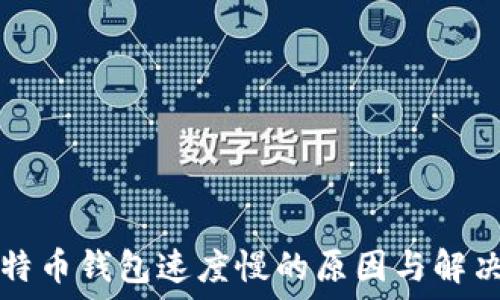   
  比特币钱包速度慢的原因与解决方案