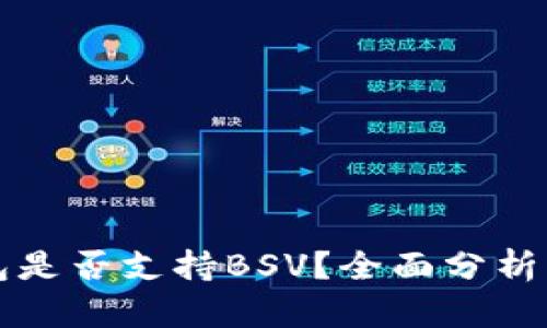 比特派钱包是否支持BSV？全面分析与使用指南