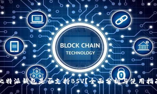 比特派钱包是否支持BSV？全面分析与使用指南