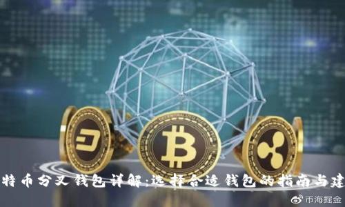比特币分叉钱包详解：选择合适钱包的指南与建议