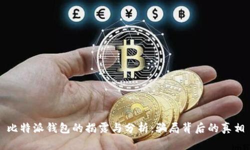 比特派钱包的揭露与分析：骗局背后的真相