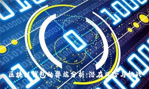 区块链钱包的弊端分析：潜在风险与挑战