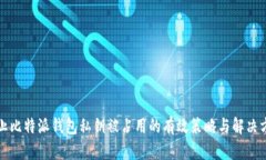 防止比特派钱包私钥被占